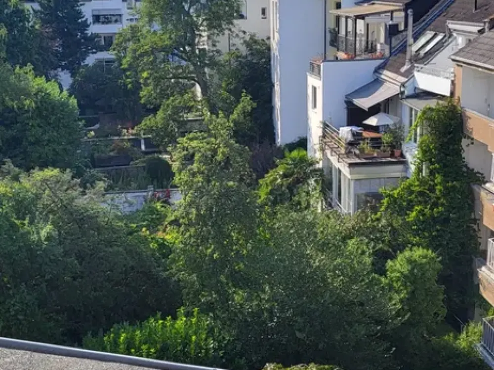 2 Zi Wohnung in Oberkassel 250m zum Rhein