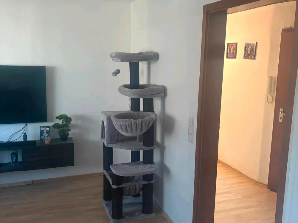 2.5-room apartment, attic, available immediately