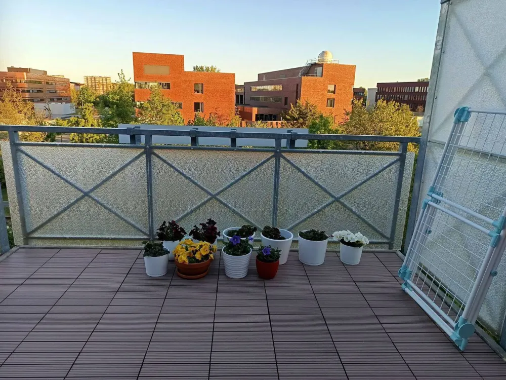 For 1 Year: 3 Room Apartment