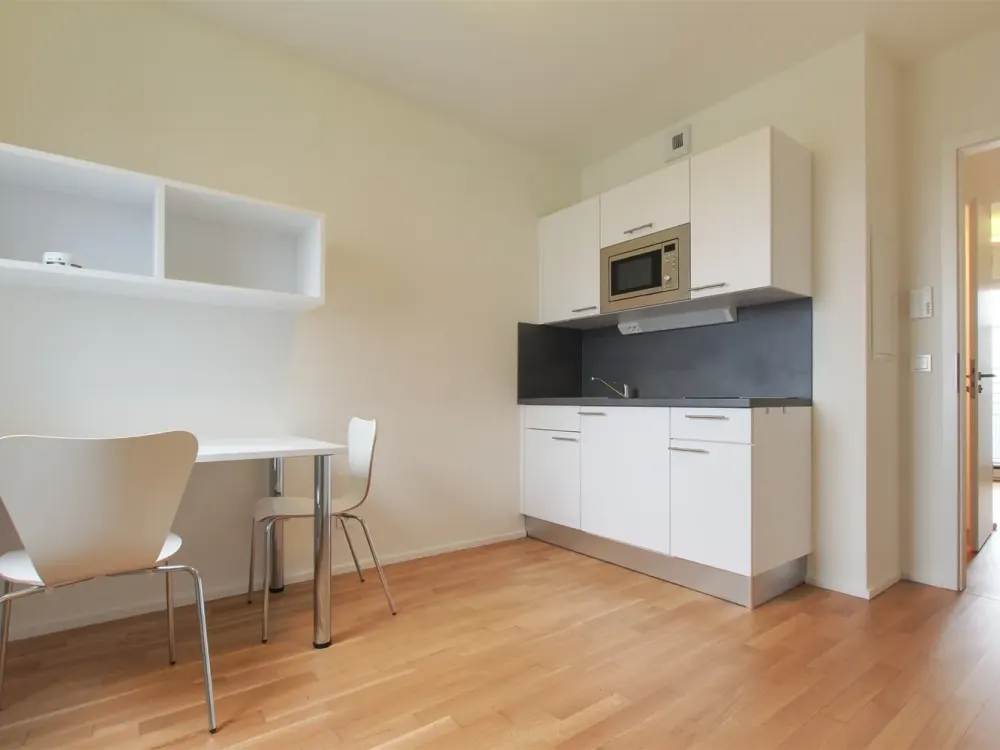 Furnished 2-Room Apartment with Balcony & Excellent Connection