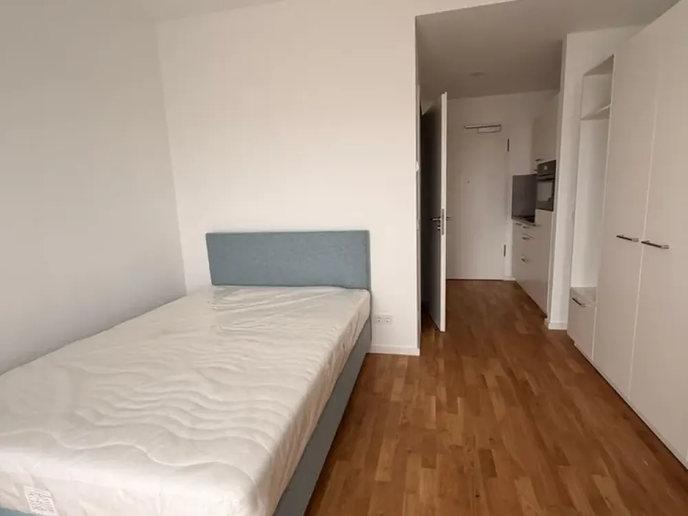 Möbliertes Neubau-Studio nahe S-Bahnhof Springpfuhl: sofort bezugsfrei