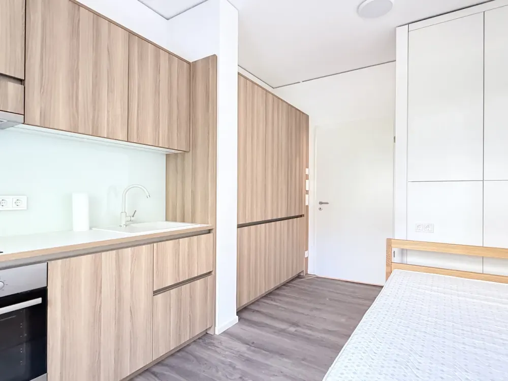 Premium 1-Zimmer-Apartment mit Außenfläche, Stilvoll eingerichtet & sofort bezugsfertig