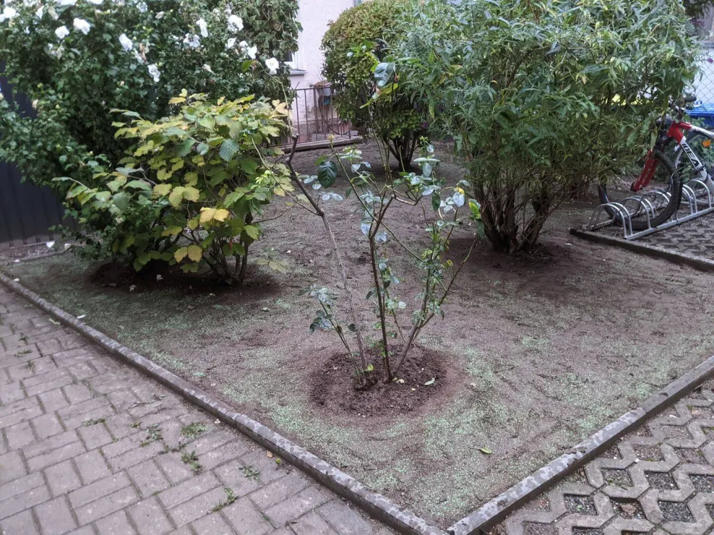 Sanierte 2,5 Zimmer (ehemalige 3 Zimmer Wohnung) zu vermieten.