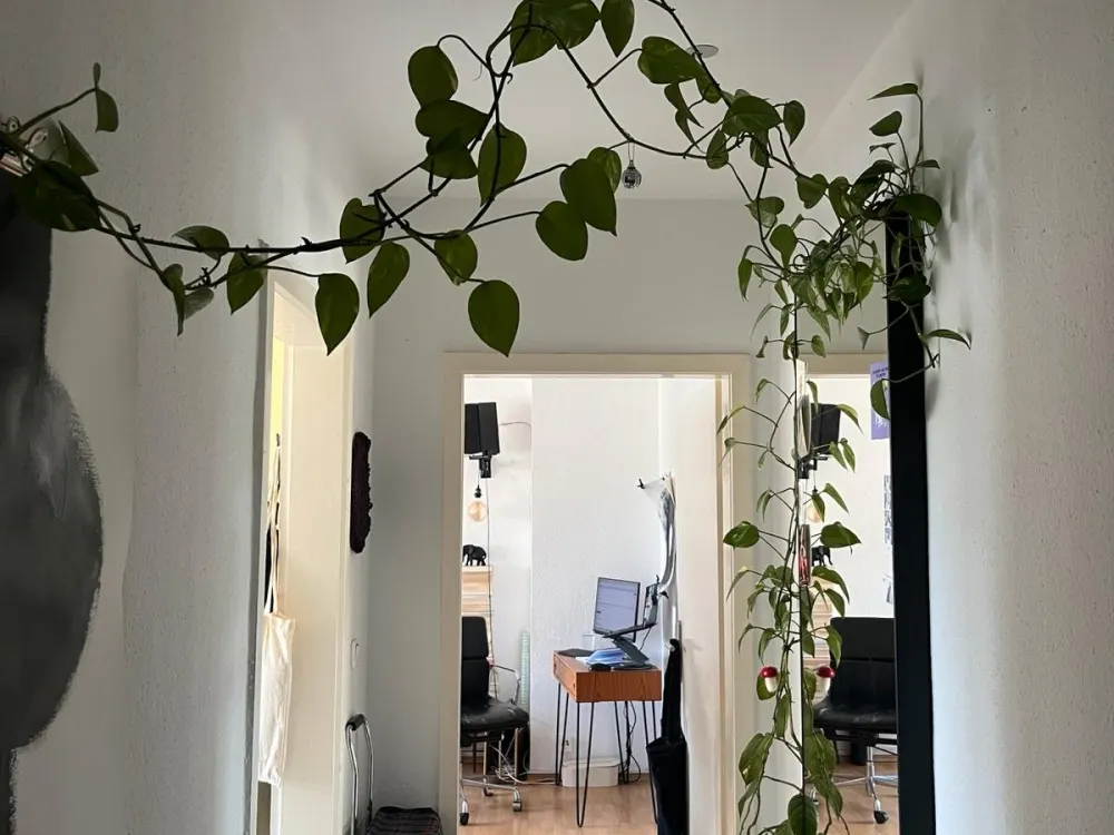 Helle 2 Zimmer Wohnung in Südstadt ab sofort verfügbar