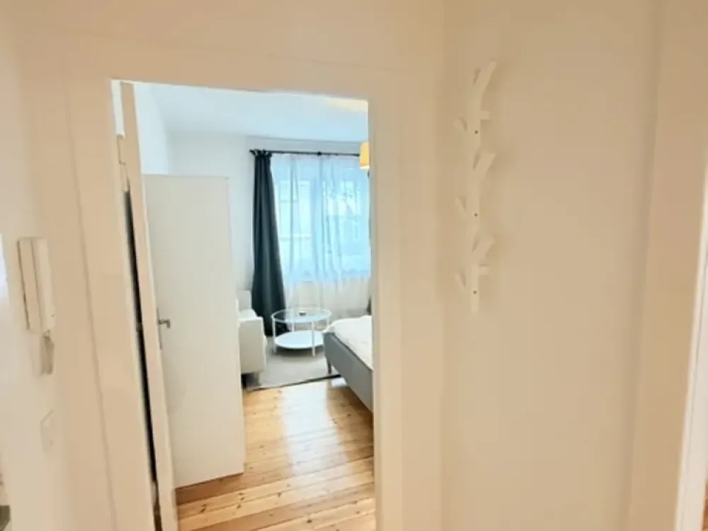 1 room apartment central place