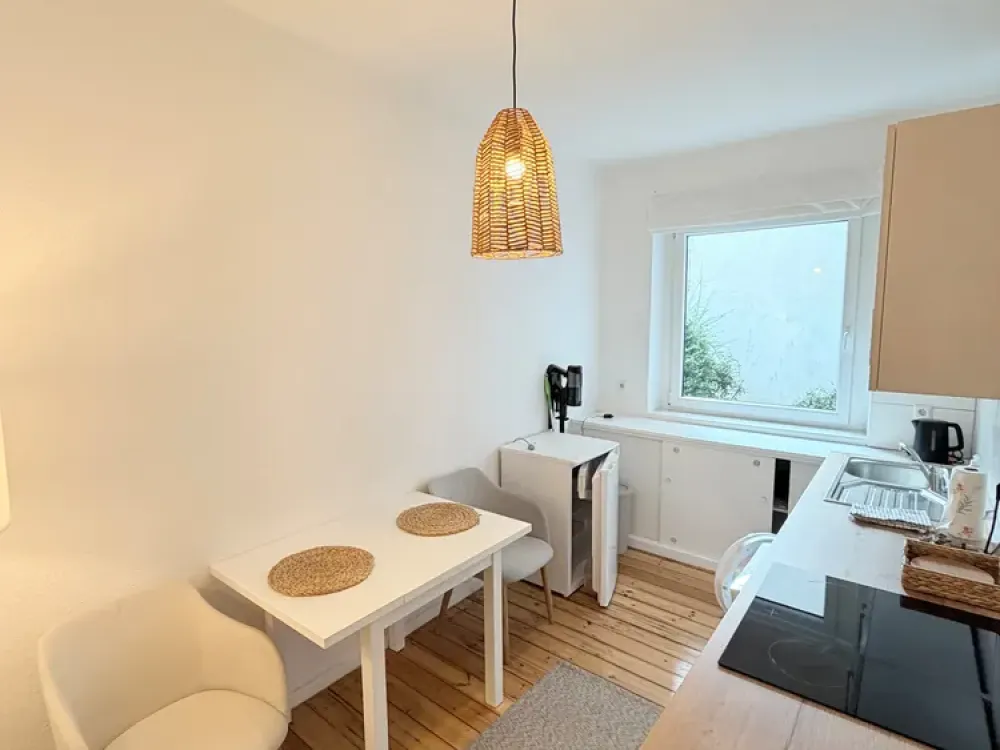 1 room apartment central place