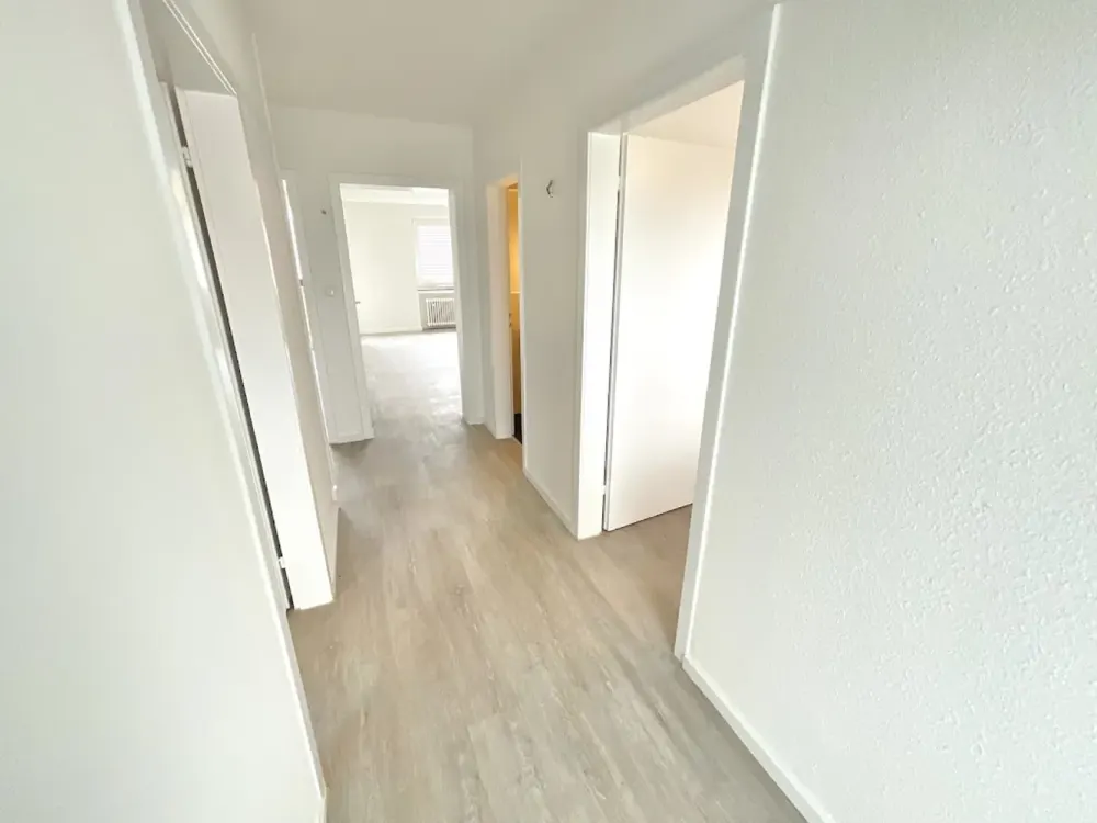 Frisch renovierte 3 Zimmerwohnung mit Balkon
