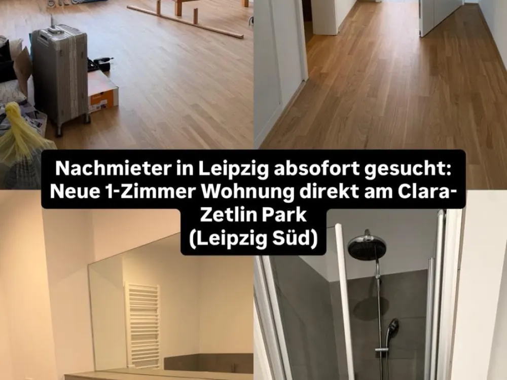 Neue 1 Zimmer Wohnung (Leipzigzentrum Süd)