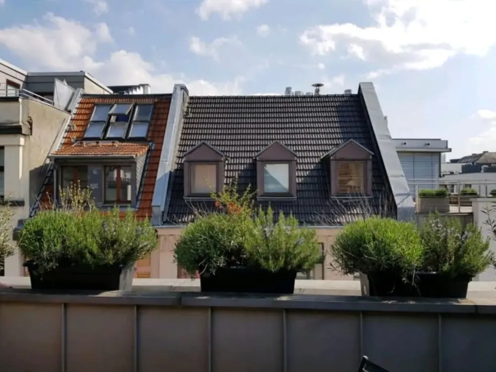 Neu renovierte Maisonette Wohnung 2,5 Zimmer im Herzen von Köln!