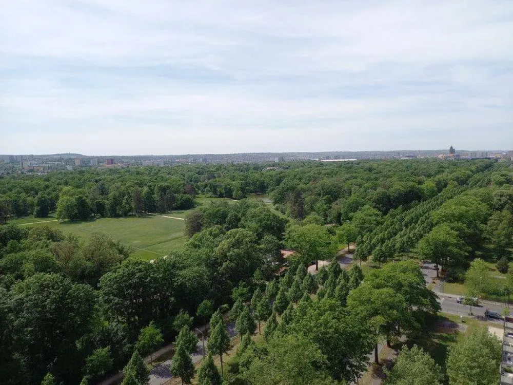 Eine 2 Raumwohnung mit Balkon und toller Aussicht -wir renovieren für Sie
