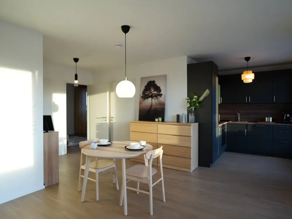 Exklusives Penthouse mit Dachterrasse & Parkblick in zentrale Maichingen