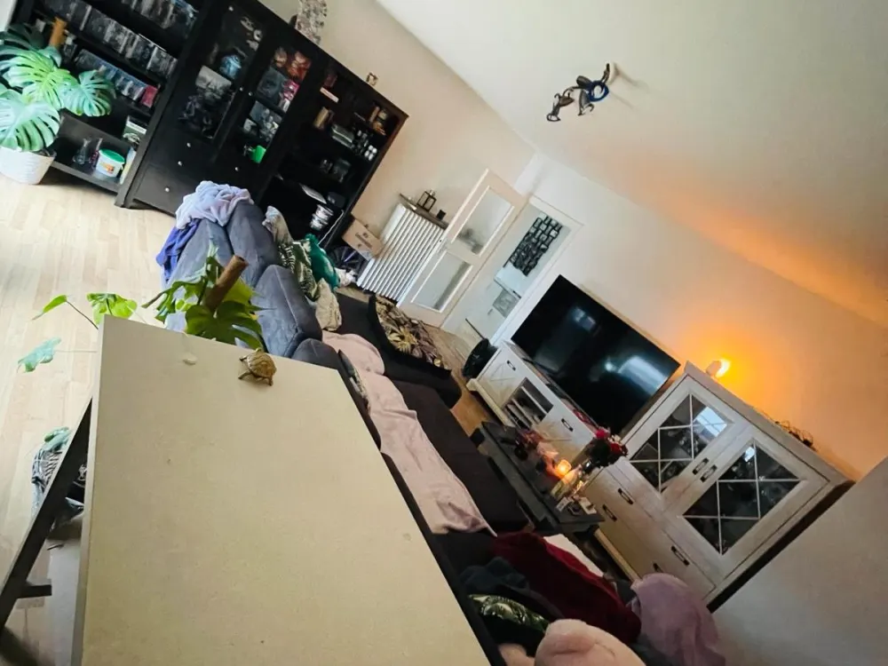 Nachmieter gesucht ✨ 2 Zimmer Ungelsheim ✨