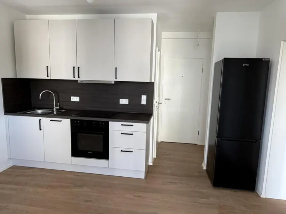 Erstbezug Kernsaniert | Helle 2-Zimmer Wohnung mit Balkon in München-Giesing
