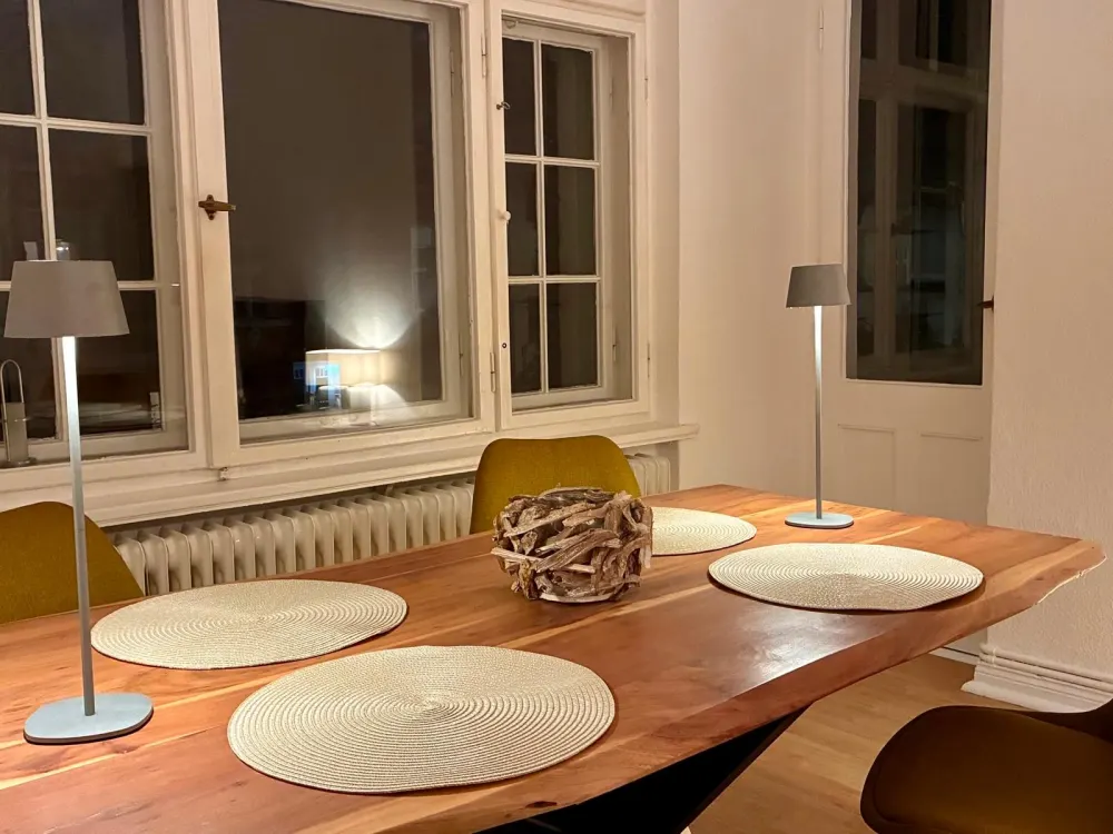 Sanierte Wohnung im Gründerzeit-Altbau, Design-Bad, Dachterrasse