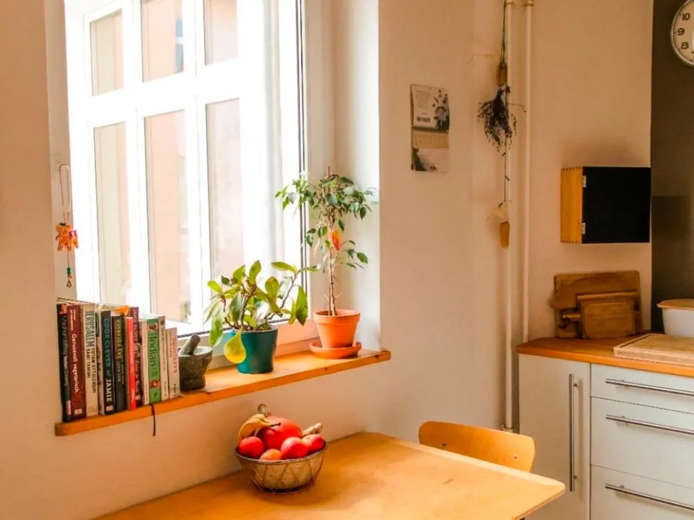Furnished Flat - October -December - with Registration(Anmeldung)