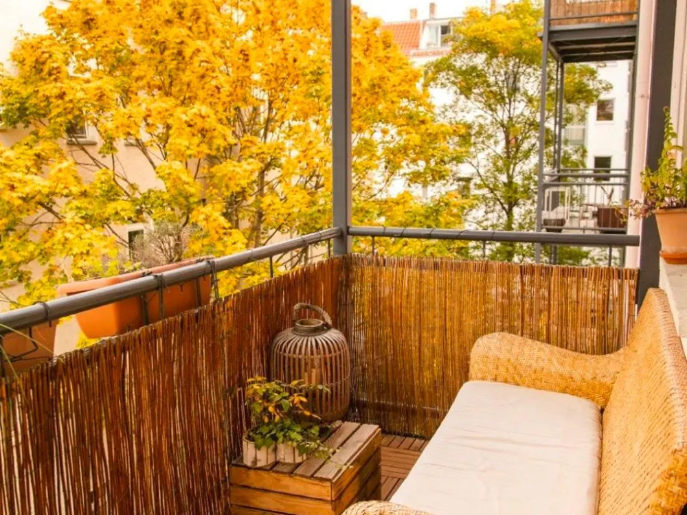 Furnished Flat - October -December - with Registration(Anmeldung)