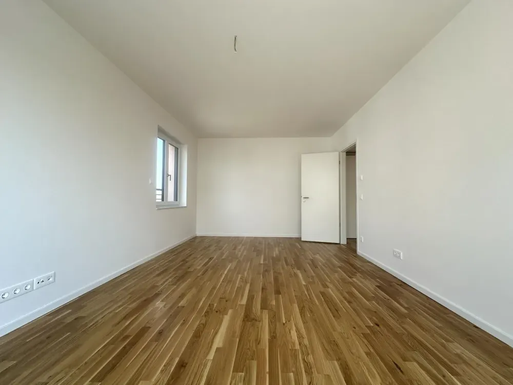 First Occupancy Large 2-Room Apartment with Terrace in Dresden-Friedrichstadt