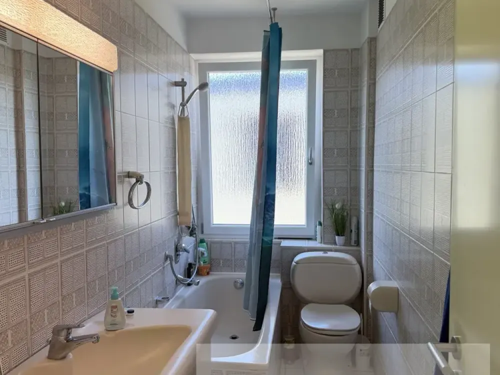 *Attraktive Wohnung für Singles oder das Paar in Mainnähe*