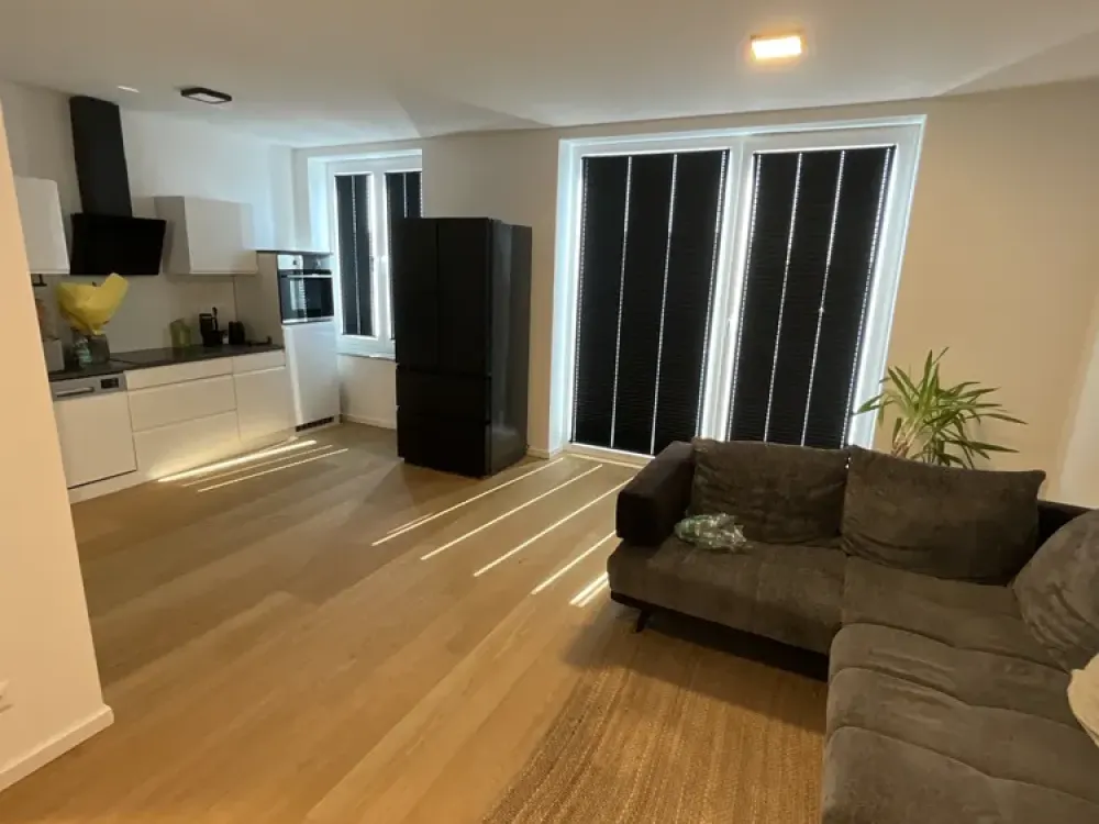 2-Room Apartment in New Development Area