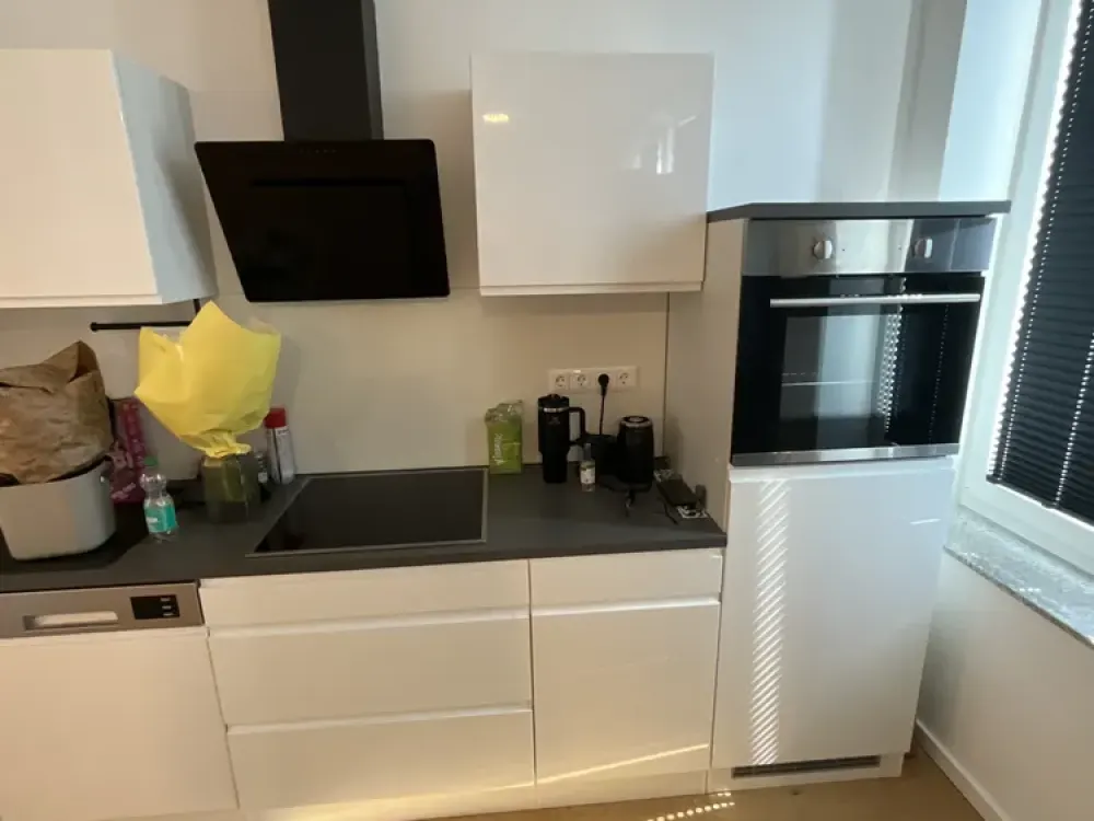 2-Room Apartment in New Development Area