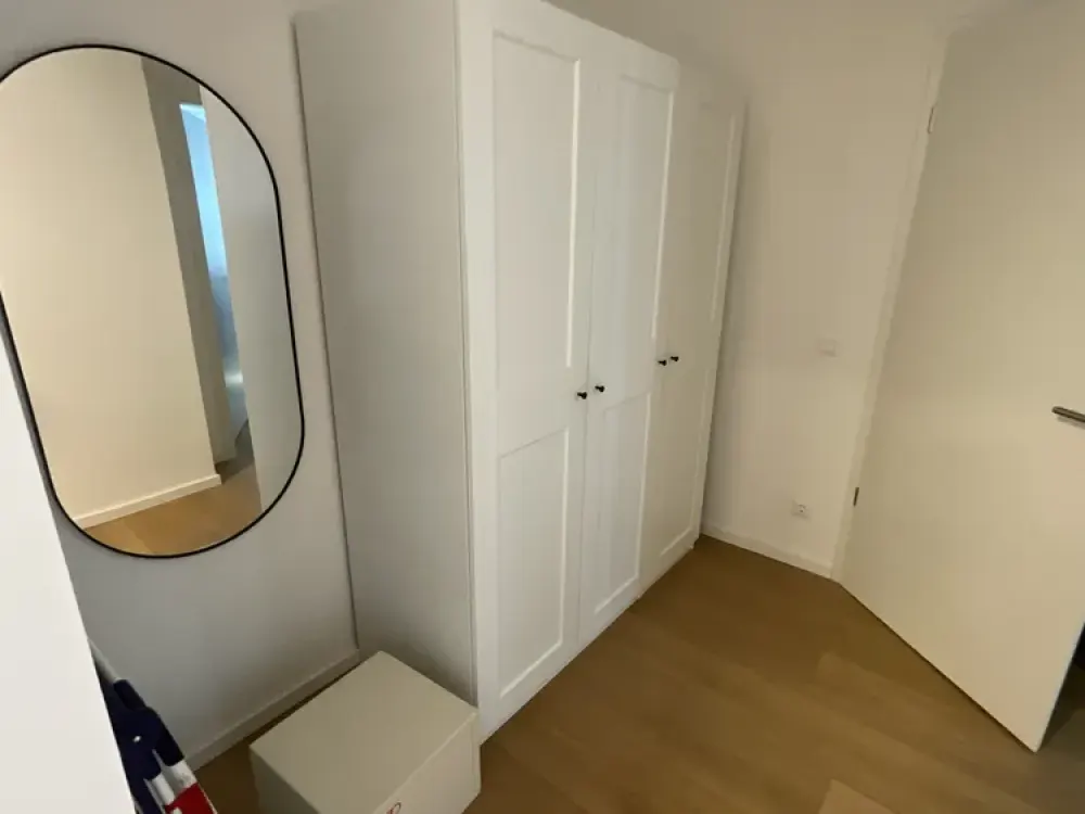 2-Room Apartment in New Development Area