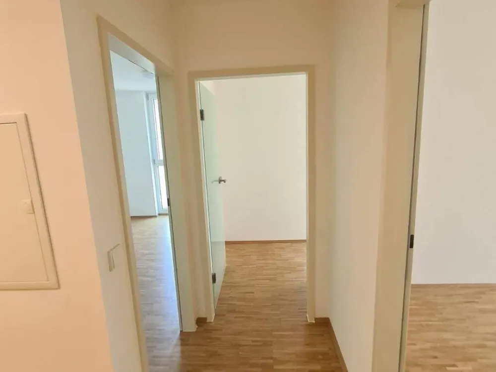 5 Zimmerwohnung, 2 Bäder, WG Geeignet Hans-Mielich-Platz