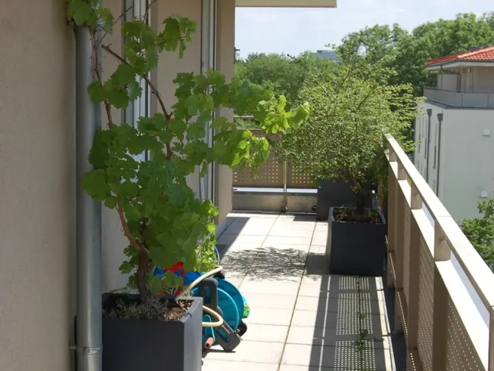 Traumhaftes Penthouse in Bestlage