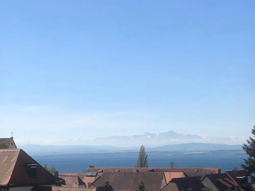 Moderne & frisch renovierte Wohnung/ sofort verfügbar