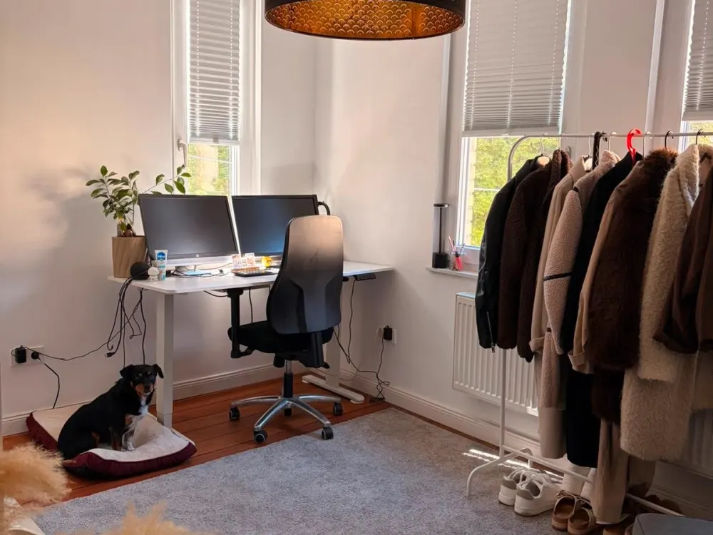 Renovierte 3 Zimmer Altbauwohnung