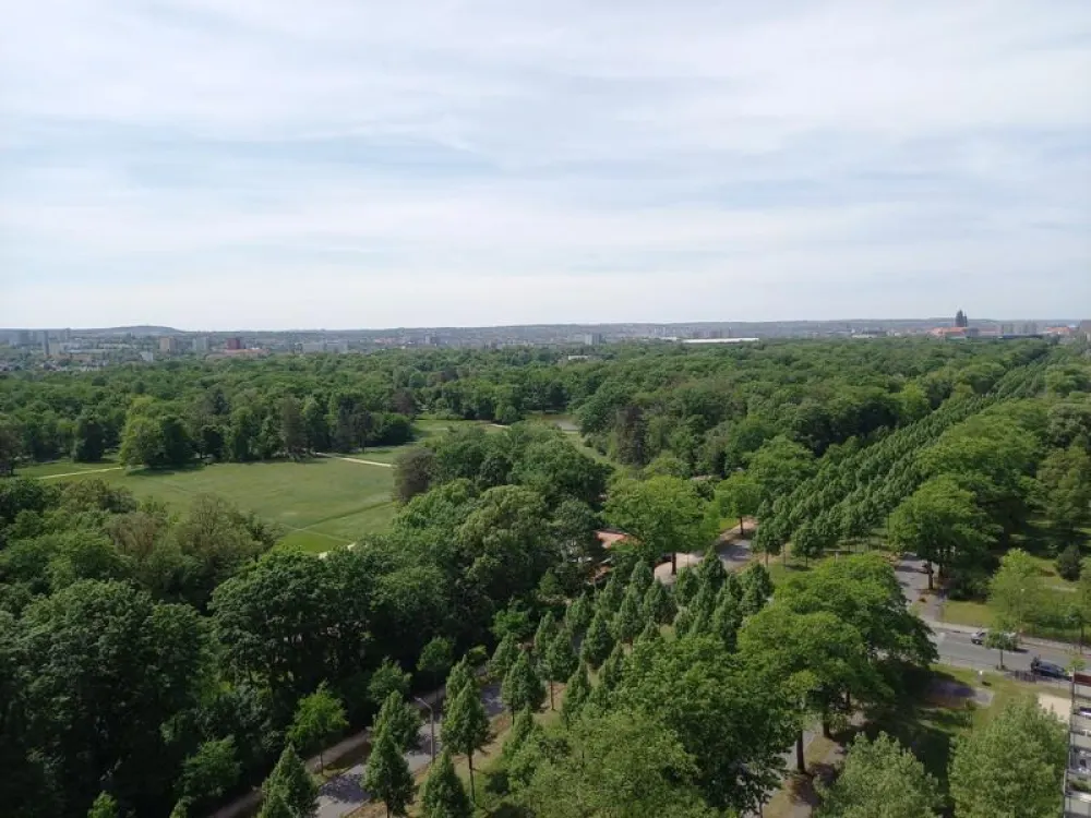 Eine 2 Raumwohnung mit Balkon und toller Aussicht -wir renovieren für Sie