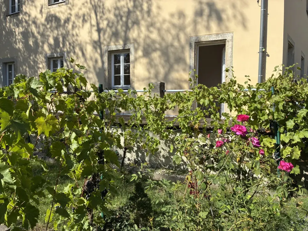 Single-Wohnung in historischem Herrenhaus