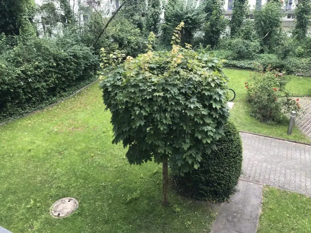 Möbliertes 1-Zimmer Apartment in zentraler Lage-sofort bezugsfrei