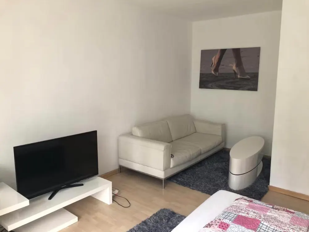 Möbliertes 1-Zimmer Apartment in zentraler Lage-sofort bezugsfrei