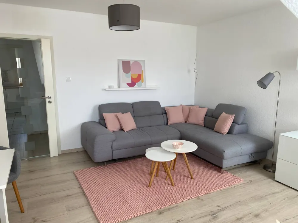 Elegant Attic Apartment in a Desirable Location