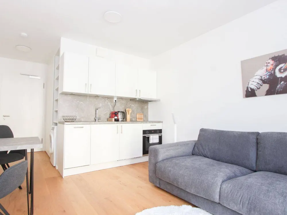 Möbliertes 1,5-Zimmer-Apartment mit Loggia