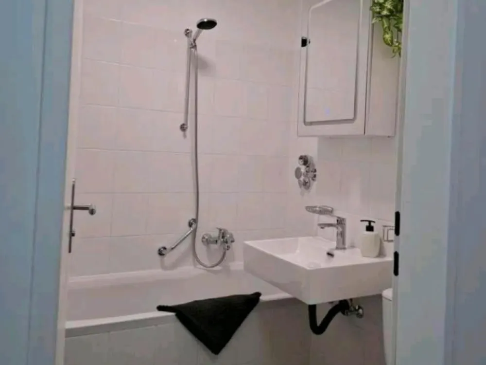 2 Zimmer-Wohnung zu vermieten möbeliert oder nicht möbeliert