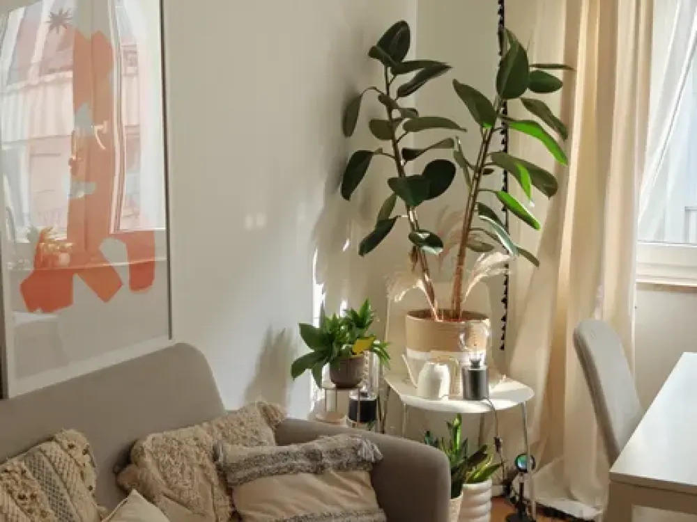 Helles 1-Zimmer-Apartment in der Maxvorstadt