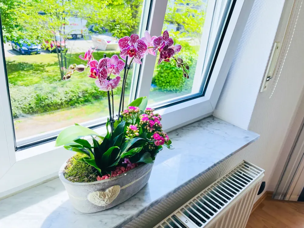 Sonnenerfüllte Wohnung (3ZW) mit Balkon, Küche u. TG im Herzen der Nordweststadt