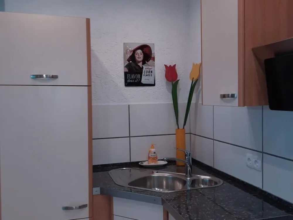 Dreizimmerwohnung mit 26 qm gro0en Terrasse, sehr zentral