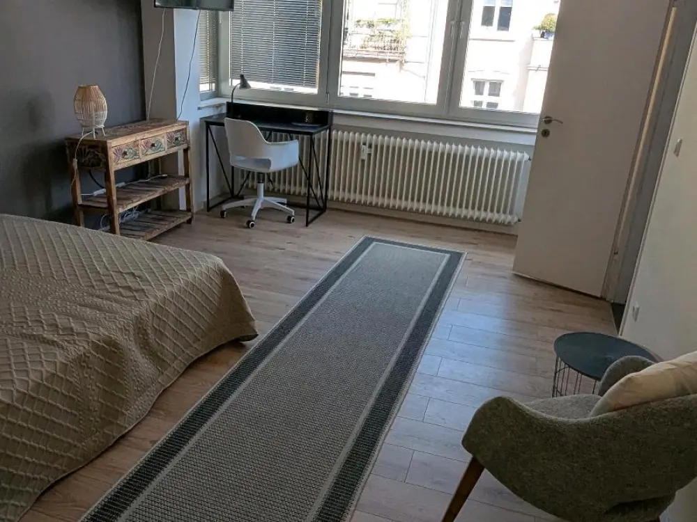 1-room apartment 25sqm fully furnished from 01.10. Sachenhausen
