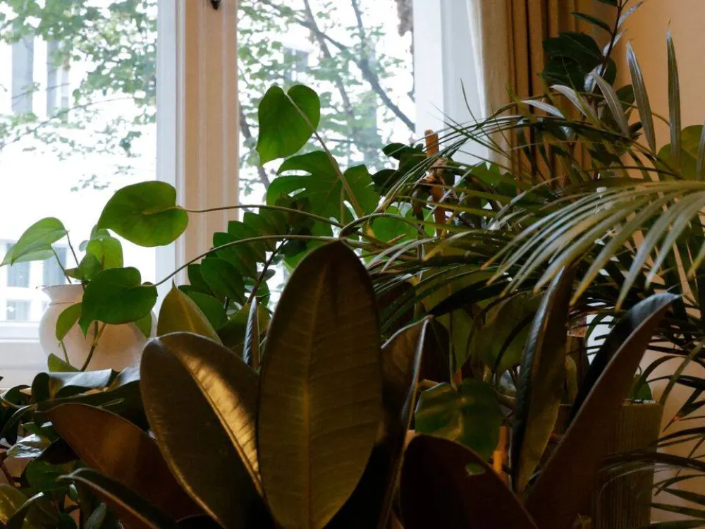 A Furnished Stylish Berlin Altbau just steps from Ku'damm