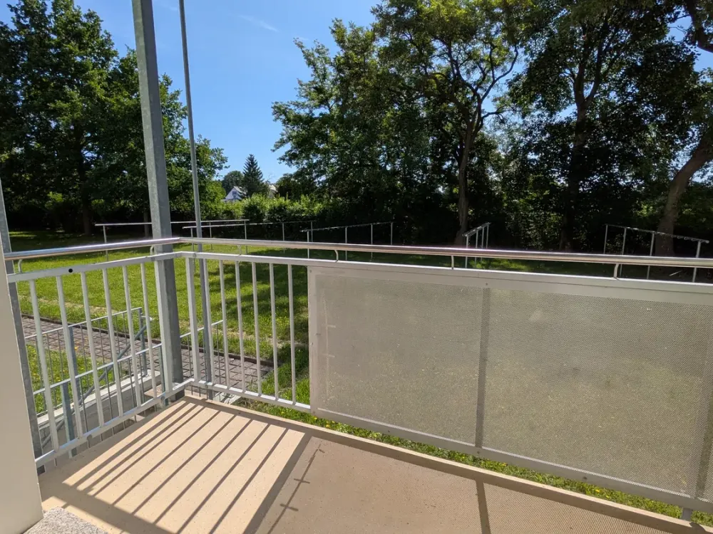 Bright Renovated Apartment with Balcony and View of the Green Surroundings