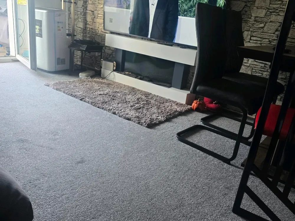 ich suche ein nach mitter ein zimmer wohnung frei haben wir