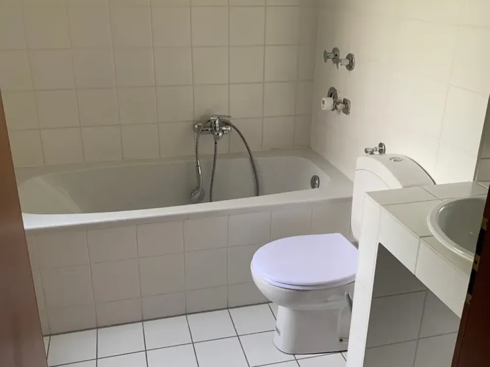 Einziehen und wohlfühlen - frisch renovierte 4-Zimmer-Wohnung mit großem Balkon zu vermieten