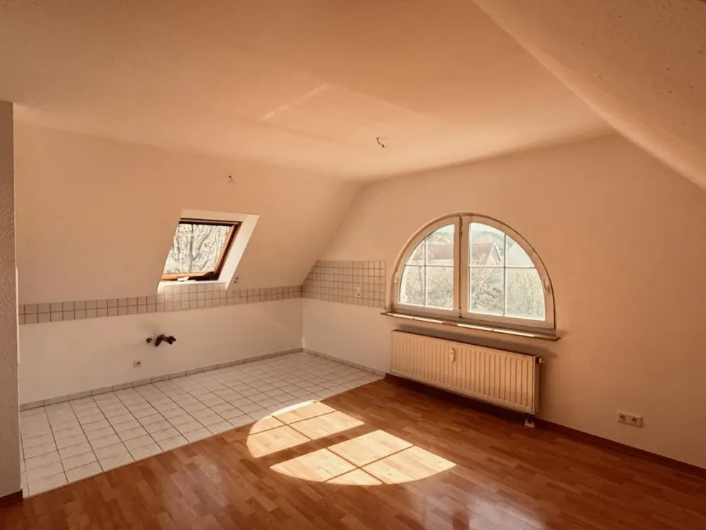 Spacious Attic Apartment in a Good Location of Radebeul
