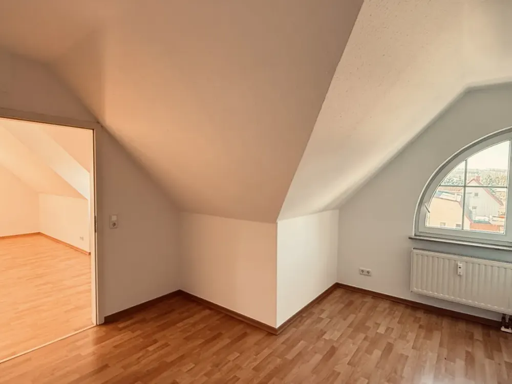 Spacious Attic Apartment in a Good Location of Radebeul
