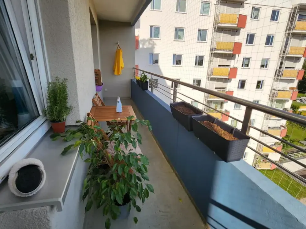 2-Zimmer-Wohnung mit EBK & Balkon in München-Moosach, ab 01.10