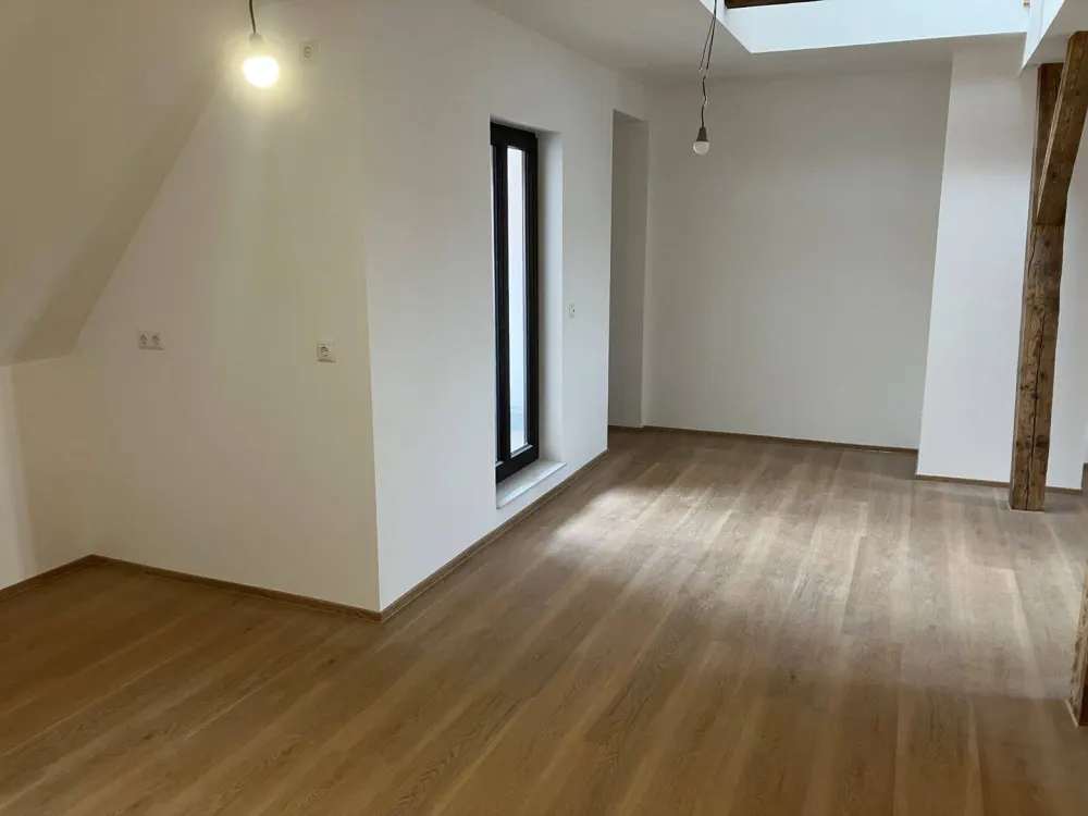 4,5-Zimmer-Neubau-Maisonette im Dachgeschoss eines Baudenkmals