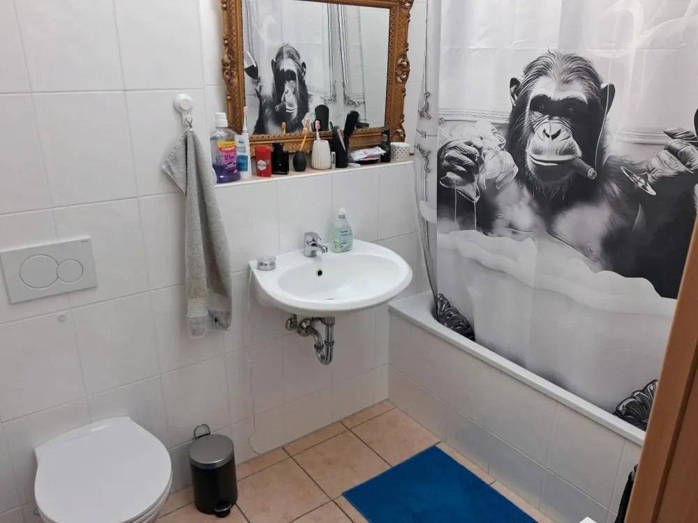 Nachmieter für eine 1 Zimmer Apartment Gesucht