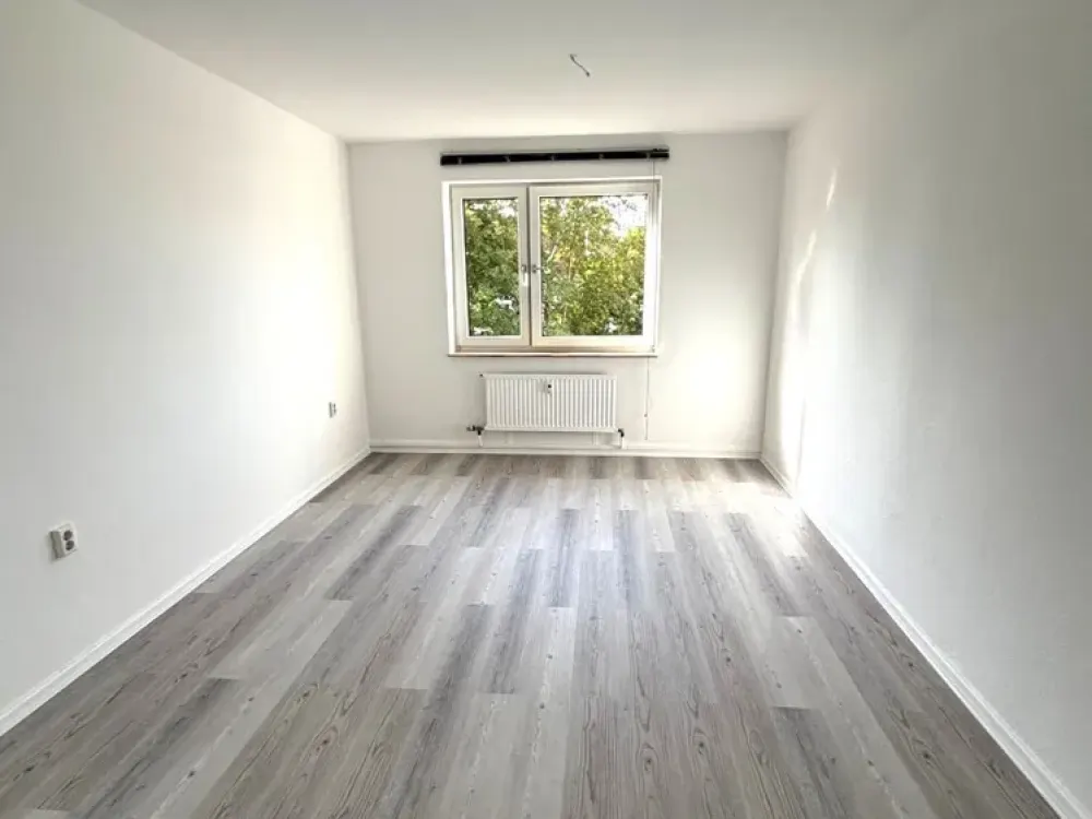 Frisch renoviertes Wohlfühlen: 3 ZKB in ruhiger Top-Lage von Kassel-Wehlheiden